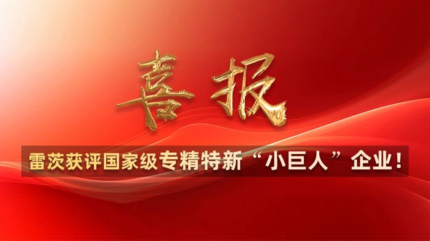 喜報：雷茨獲評國家級專精特新“小巨人”企業(yè)！