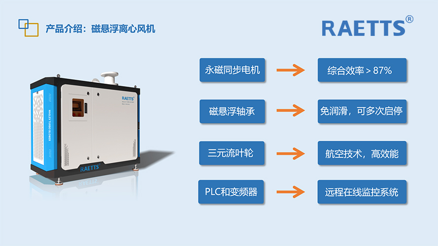 1704932857205812.jpg 10.jpg